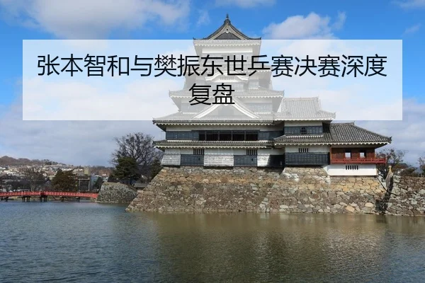 张本智和与樊振东世乒赛决赛深度复盘